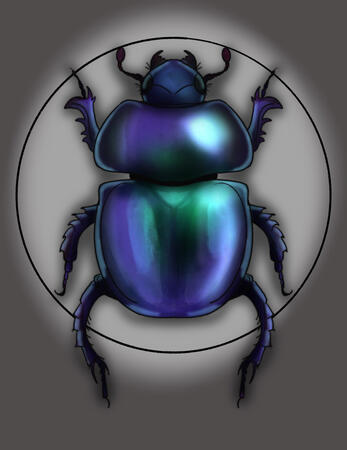 Beetle